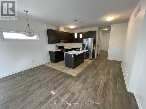 308 Louise Street, Welland, ON - Indoor Photo Showing Kitchen With Stainless Steel Kitchen