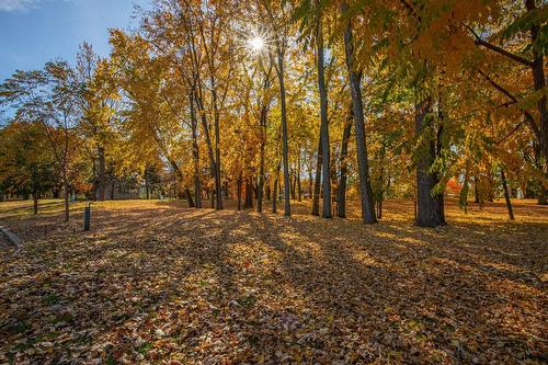 Other - 7 Rue Jean-Cadieux, Boucherville, QC - Outdoor With View
