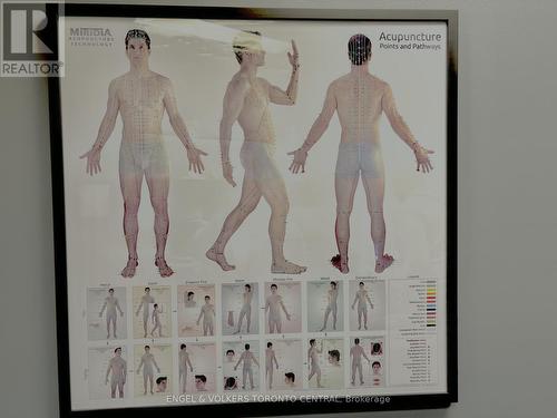 25 Morrow Road, Barrie, ON 