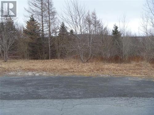 15 Powell Drive, Carbonear, NL 