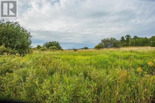 West Side Maclennan Rd/South Side Government Rd|Property 4, Township Of Tarbutt, Desbarats, ON 