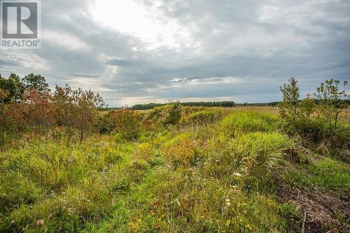 West Side Maclennan Rd/South Side Government Rd|Property 4, Township Of Tarbutt, Desbarats, ON 