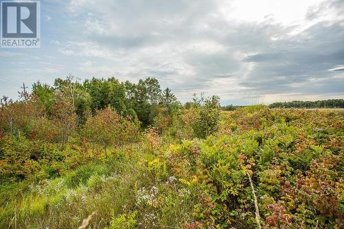 West Side Maclennan Rd/South Side Government Rd|Property 4, Township Of Tarbutt, Desbarats, ON 