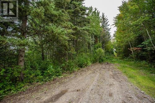 Calabogie Road/Hwy 17 Ne Corner|Property 8, Township Of Laird, Echo Bay, ON 