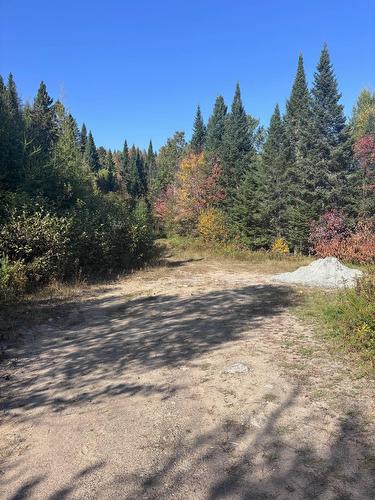 Wooded area - 649 Ch. Du Lac-Quenouille, Lac-Supérieur, QC - Outdoor With View