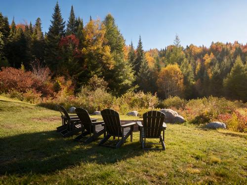 Backyard - 649 Ch. Du Lac-Quenouille, Lac-Supérieur, QC - Outdoor With View