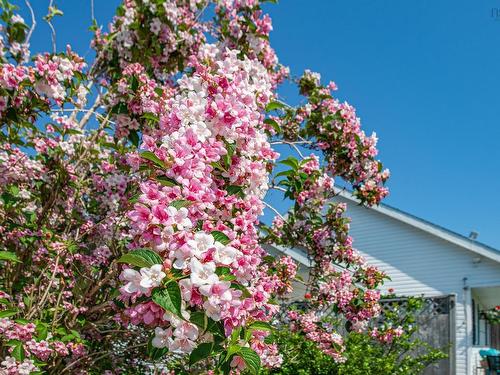 6451 Highway 3, Eel Brook, NS 