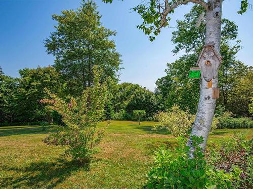 6451 Highway 3, Eel Brook, NS 