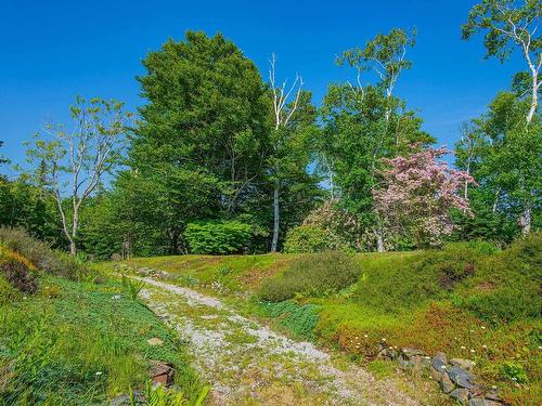 6451 Highway 3, Eel Brook, NS 