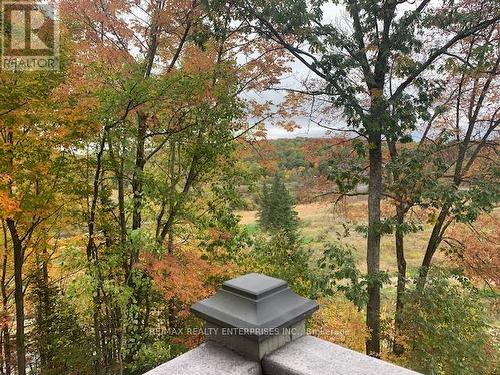 3521 Grandview Forest Hill Drive, Huntsville, ON - Outdoor