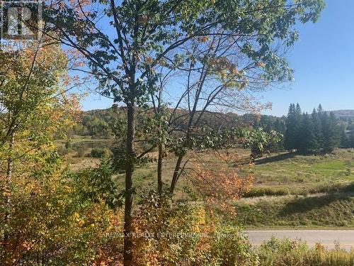 3521 Grandview Forest Hill Drive, Huntsville, ON - Outdoor With View