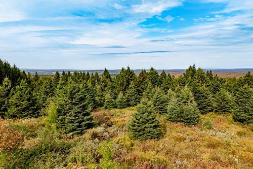 Terre/Terrain - 1000Z 10E Rang, Saint-Herménégilde, QC 