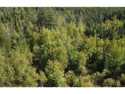 Pid 50023084 Mull River Road, Mabou, NS 