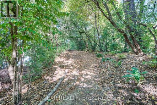 41 - 54 Blue Springs Drive, Waterloo, ON - Outdoor