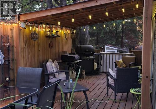 91 Pine Avenue, Dysart Et Al (Dysart), ON - Outdoor With Deck Patio Veranda With Exterior