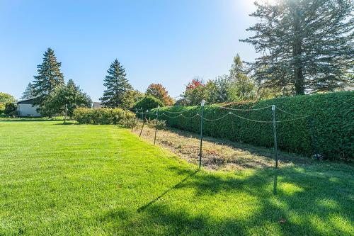 Cour - 800 Rue Du Centenaire, Farnham, QC - Outdoor