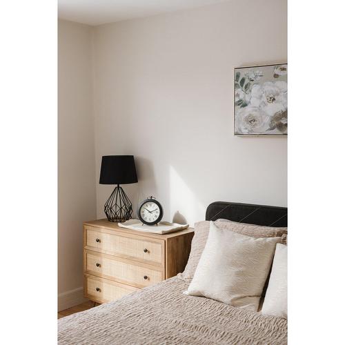 Primary bedroom - 3841 Rue Drolet, Montréal (Le Plateau-Mont-Royal), QC - Indoor Photo Showing Bedroom