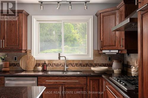 41 Douglas Crescent, Erin, ON - Indoor Photo Showing Kitchen With Double Sink