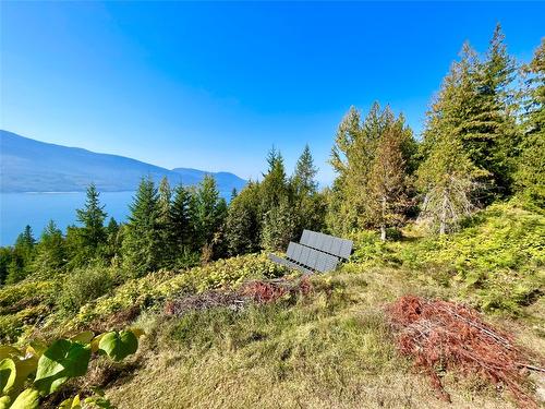 455 Crescent Bay Road, Nakusp, BC - Outdoor With View
