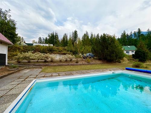 455 Crescent Bay Road, Nakusp, BC - Outdoor With In Ground Pool With Backyard