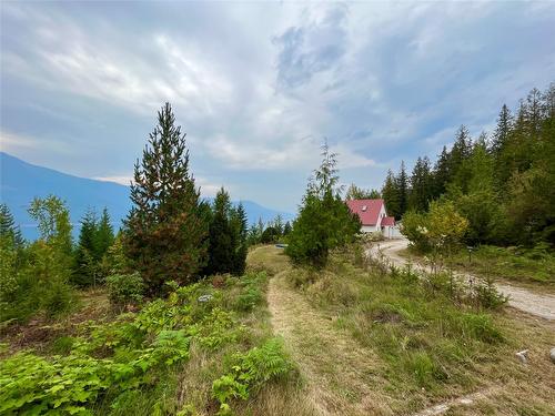 455 Crescent Bay Road, Nakusp, BC - Outdoor With View