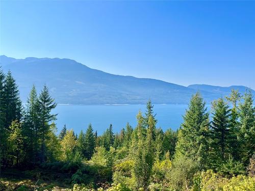 455 Crescent Bay Road, Nakusp, BC - Outdoor With Body Of Water With View