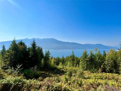 455 Crescent Bay Road, Nakusp, BC - Outdoor With Body Of Water With View
