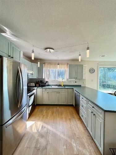 455 Crescent Bay Road, Nakusp, BC - Indoor Photo Showing Kitchen