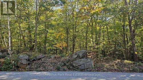 0 Rostrevor Road, Muskoka Lakes (Watt), ON 