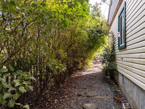 4927 Neill St, Port Alberni, BC 