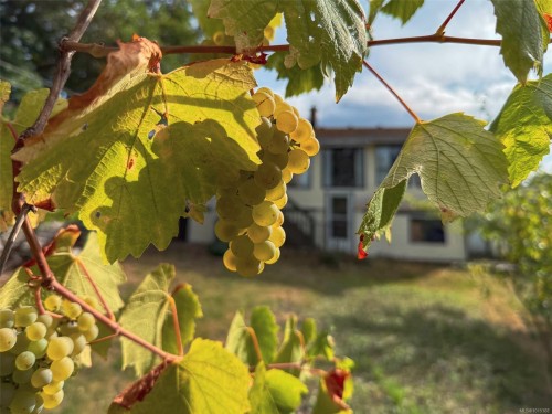 4927 Neill St, Port Alberni, BC 