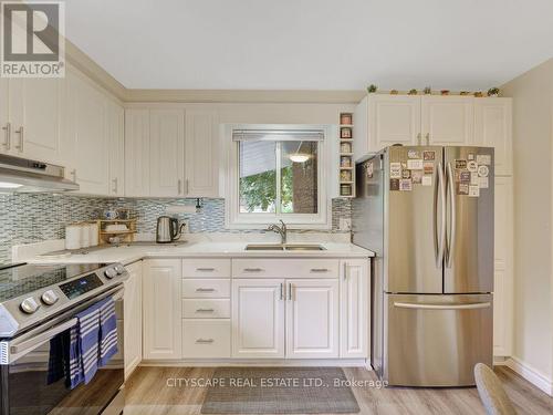 221 Kribs Street, Cambridge, ON - Indoor Photo Showing Kitchen With Stainless Steel Kitchen With Double Sink