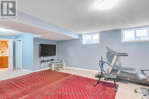 31 Chester Drive N, Cambridge, ON - Indoor Photo Showing Gym Room