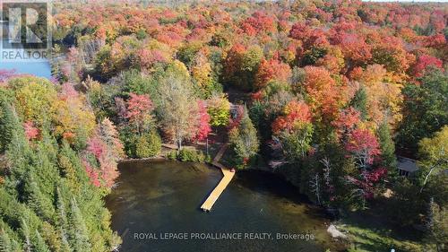 2674 Smith Road, Frontenac (Frontenac North), ON - Outdoor With View