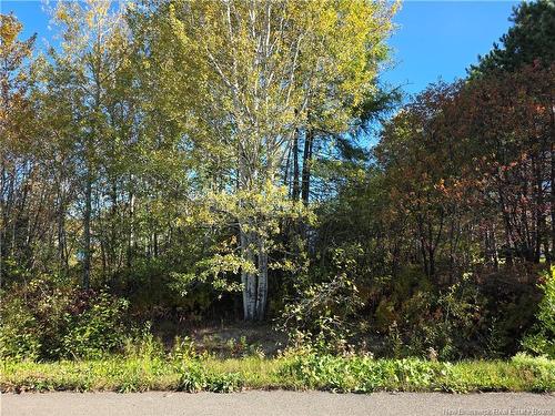 Lot Mazerolle St, Sainte-Anne-De-Madawaska, NB 