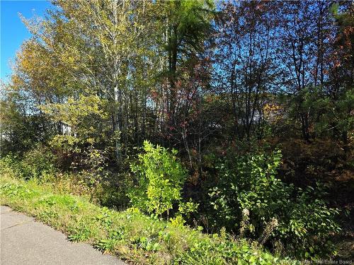 Lot Mazerolle St, Sainte-Anne-De-Madawaska, NB 