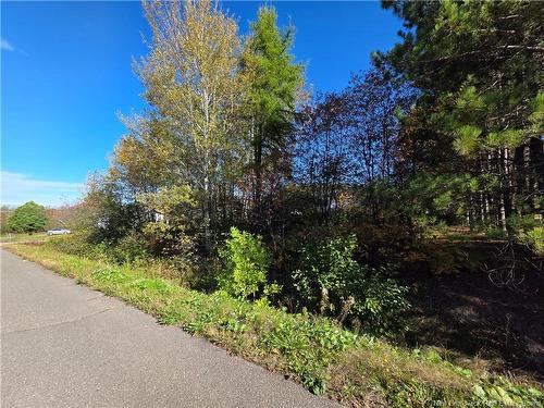 Lot Mazerolle St, Sainte-Anne-De-Madawaska, NB 