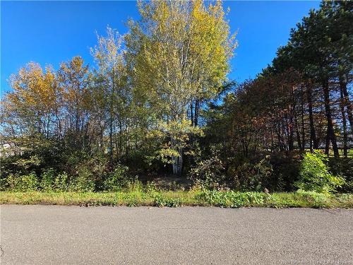 Lot Mazerolle St, Sainte-Anne-De-Madawaska, NB 