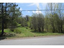 29 2nd AVE  Napadogan, NB E6B 1Y5