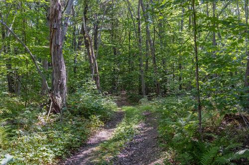 Boisé - 2890Z Ch. Ste-Angélique, Saint-Lazare, QC - Outdoor