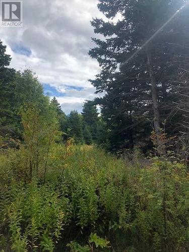 173B -177B Neck Road, Coley'S Point, Bay Roberts, NL 