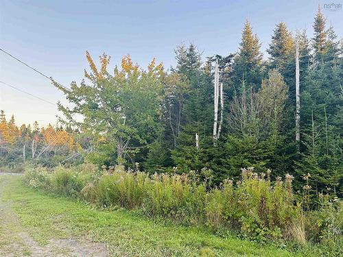 28 Flat Point Road, Clam Harbour, NS 