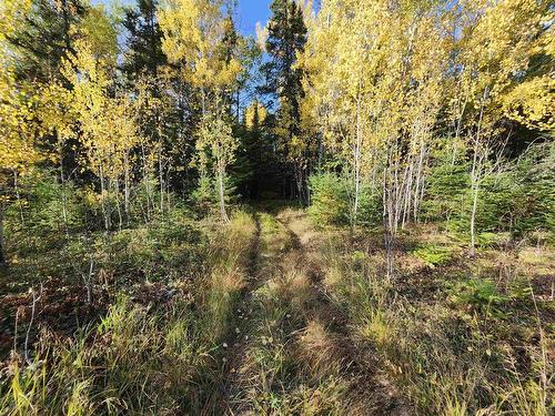 18 Johnson Road, Kenora, ON 
