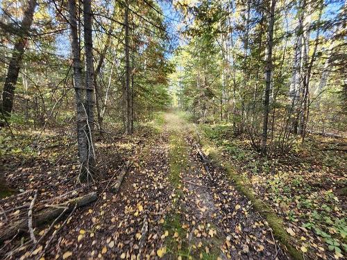 18 Johnson Road, Kenora, ON 