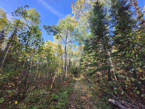 18 Johnson Road, Kenora, ON 