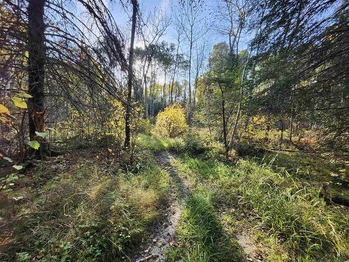 18 Johnson Road, Kenora, ON 