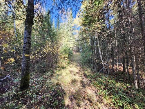 18 Johnson Road, Kenora, ON 