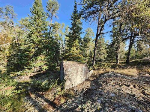 18 Johnson Road, Kenora, ON 