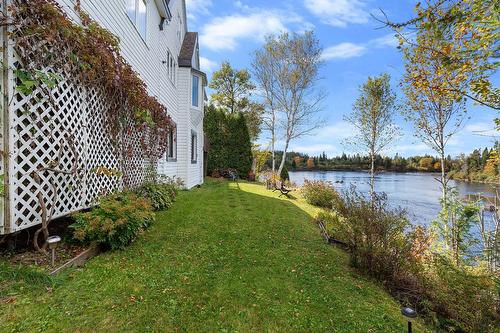 Backyard - 259 Boul. Jacques-Cartier, Shannon, QC - Outdoor With View