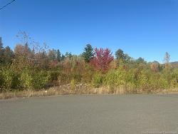 Lot 10-04 Crain CRT  Bulls Creek, NB E7N 0B1